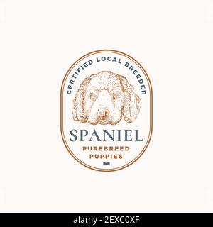 Modèle de logo ou de badge de cadre de dressage de chiens certifié. Dessin du visage de chiots d'un épagneul dessiné à la main avec Typographie et bordures rétro. Emblème Premium vintage Illustration de Vecteur