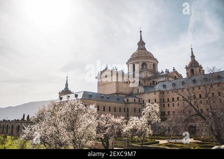 Monastère de l'Escorial à Madrid parmi les arbres fleuris au printemps Banque D'Images