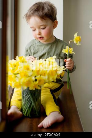 Portrait d'un tout-petit mignon en forme de narcissus de printemps jaune fleurs Banque D'Images