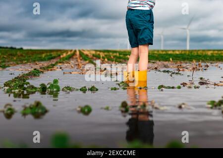 un enfant se tenant dans les eaux inondées d'un champ de soja près d'un parc éolien Banque D'Images