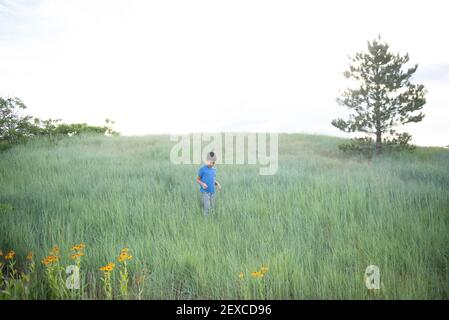 Un jeune garçon explore un champ herbacé Banque D'Images