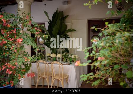 Chambre avec chaises et table avec bougies, bouquets de fleurs et assiettes, buissons avec fleurs en premier plan Banque D'Images