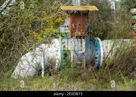 Un ancien pipeline d'eau, couvert de végétation, dans les montagnes de Judée, près de Jérusalem, Israël Banque D'Images