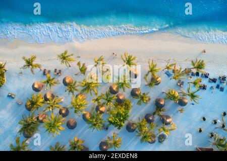 Vue aérienne des parasols et des palmiers sur la plage de sable Banque D'Images