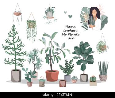 La maison est où mes plantes sont affiche. Mignonne maison pots et paniers de plantes, cactus et succulents, et jolie fille avec fleur en pot. Vecteur de style plat Illustration de Vecteur