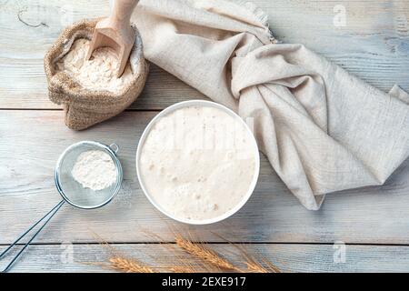 Fermentation du pain. Levain de blé et farine sur fond clair. Le concept de fabrication du pain. Banque D'Images