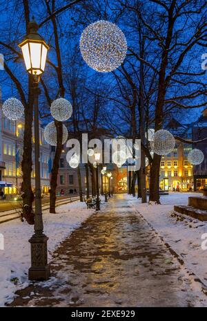 Illuminations de Noël à Promenadeplatz à Munich, haute-Bavière, Bavière, Allemagne, Europe Banque D'Images