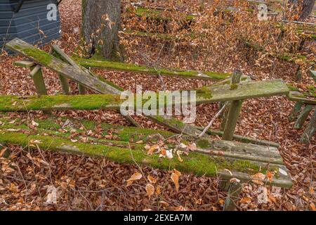 Place perdue, jardin de bière surcultivé avec des zones assises mossy, Gasthof Obermuehltal, Bavière, Allemagne, Europe Banque D'Images