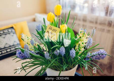 Cadeau de fête des mères. Pot avec fleurs jaunes printanières et carte de vœux attend maman à la maison Banque D'Images