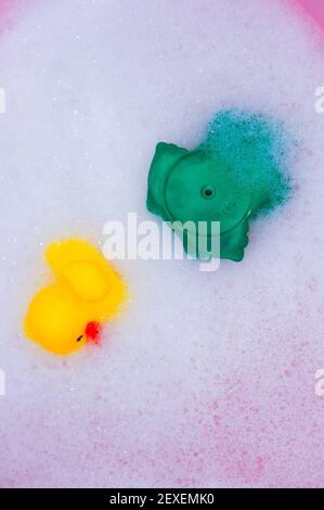 POZNAN, POLOGNE - 06 février 2016 : jouets de bain en plastique de grenouille verte et de canard en caoutchouc jaune dans l'eau et la mousse. Banque D'Images