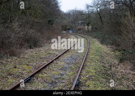 Vue de la boîte de signalisation Cefn Junction vers Tondu le 4 mars 2021. Crédit : Lewis Mitchell Banque D'Images