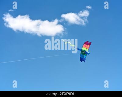 Cerf-volant dans le ciel Banque D'Images