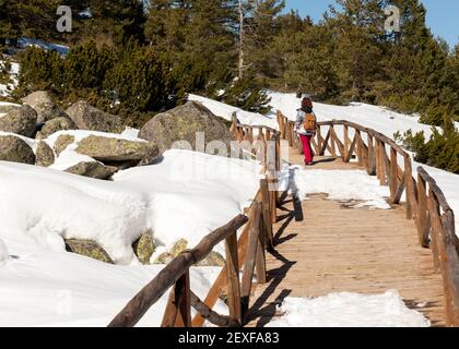 Femelle marchant sur une passerelle en bois au-dessus des rochers dans la montagne Vitosha près de Sofia, Bulgarie, Europe de l'est, UE Banque D'Images