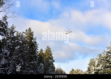 L'hélicoptère dans le ciel survole la forêt pendant une opération de recherche. Vue sur les pins dans la forêt enneigée après une chute de neige à l'arrière Banque D'Images