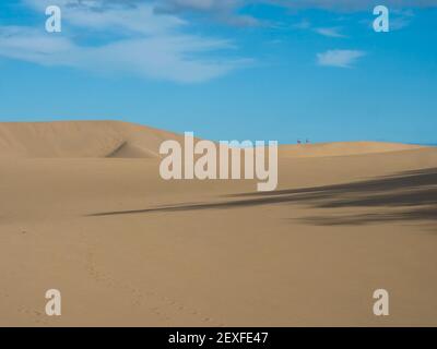 Vue sur la Réserve naturelle des dunes de Maspalomas, dunes de sable doré, ciel bleu. Gran Canaria, Îles Canaries, Espagne Banque D'Images