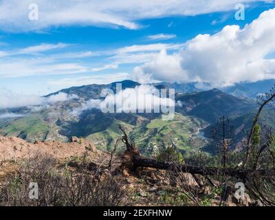 Vue panoramique depuis le sommet du parc naturel de Tamadaba avec des collines verdoyantes, des montagnes forestières et un lac de barrage. Gran Canaria, Îles Canaries, Espagne. Banque D'Images