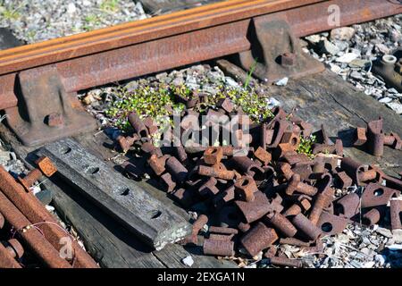 Angleterre, Devon, Kingswear, détail des rails à tête bombée avec plaque en poisson et boulons jetés Banque D'Images