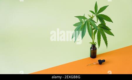 CBD l'huile de cannabis et les feuilles de cannabis sur fond orange et vert minimal. Huile de chanvre CBD dans la pipette Banque D'Images