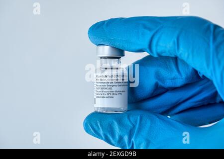 Montréal, CA - 4 mars 2021 : main dans un flacon de gants bleu contenant le vaccin Pfizer BioNTech Covid-19 Banque D'Images