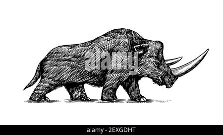 Rhinocéros laineux. Animal éteint. L'âge de la glace. Illustration rétro vintage. Style Doodle. Esquisse gravée dessinée à la main Illustration de Vecteur