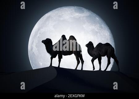 Des silhouettes de chameaux marchent dans le désert la nuit. Lune en arrière-plan. Banque D'Images