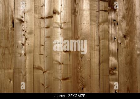 Texture du bois Banque D'Images