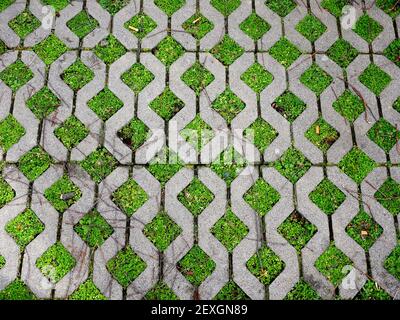Motif géométrique en herbe et en béton Banque D'Images