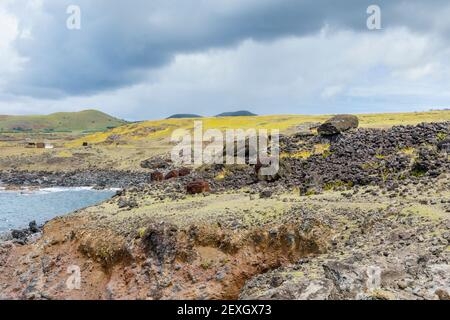 Moai renversés (statues) et pukao (nœuds hauts) à AHU Akahanga sur la côte sud rocheuse et sauvage de l'île de Pâques (Rapa Nui), au Chili Banque D'Images