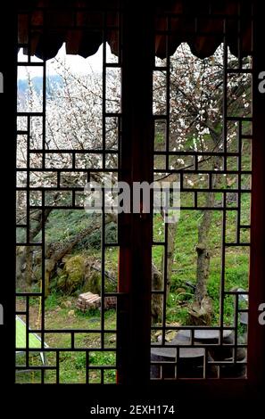 Fenêtre dans une maison traditionnelle coréenne (hanok) au village de Maehwa, Gwangyang, Corée du Sud. Banque D'Images