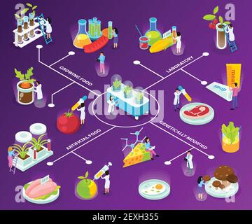 Diagramme isométrique artificiel avec les scientifiques pendant les expériences avec manger ingrédients sur fond violet illustration vectorielle Illustration de Vecteur