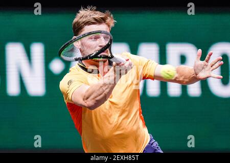 ROTTERDAM, PAYS-BAS - MARS 4: David Goffin de Belgique pendant son match contre Jeremy Chardy de France dans le 48e ABN AMRO World tennis Tournamen Banque D'Images