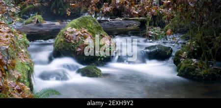 Exposition longue eau coulant dans les roches couvertes de mousse de ruisseau Banque D'Images