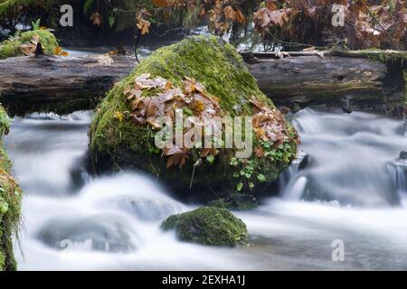 Exposition longue eau coulant dans les roches couvertes de mousse de ruisseau Banque D'Images