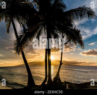 Coucher de soleil sur Lanai avec silhouette de palmiers, en face de Lahaina Bay, Maui, Hawaii, États-Unis Banque D'Images