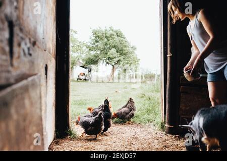 Une agricultrice nourrit ses poulets et ses chèvres de l'intérieur de sa grange, dans sa ferme rurale de l'Oklahoma Banque D'Images