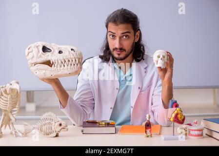 Jeune paléontologue devant le tableau blanc Banque D'Images