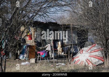 Bucarest, Roumanie - 3 mars 2021 : aboiement de chiens sur un terrain vide à Bucarest, près d'un abri de fortune. Banque D'Images