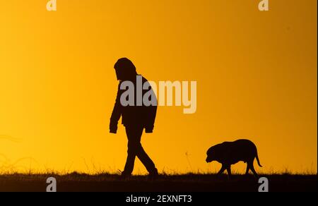 Hanovre, Allemagne. 05e mars 2021. Un homme marche un chien le long d'une route de campagne au lever du soleil. Credit: Julian Stratenschulte/dpa/Alay Live News Banque D'Images