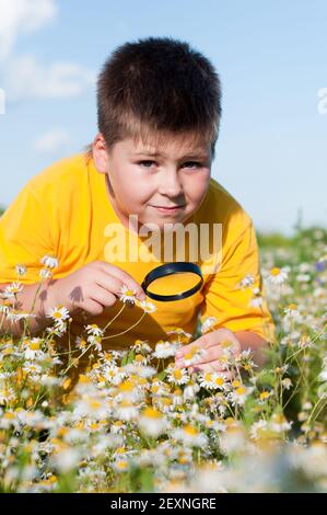 Garçon voit des fleurs à travers la loupe Banque D'Images