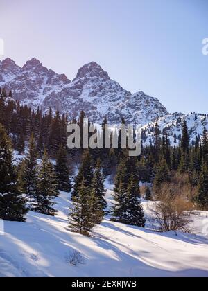 Paysage de montagne d'hiver. Matin dans les montagnes du Zailiyskiy Alatau. Sommets enneigés et épinettes Banque D'Images
