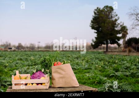 boîte en bois et sac en toile rempli de légumes et de fruits dans un champ de culture, alimentation saine et l'agriculture écologique concept, copier l'espace pour le texte Banque D'Images