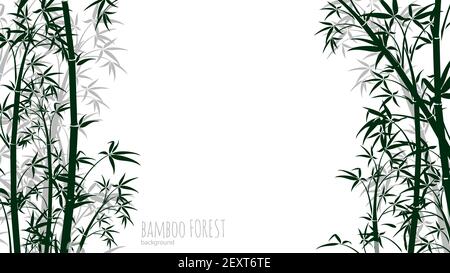 Arrière-plan de la forêt de bambou. Toile de fond silhouettes de plantes asiatiques. Bannière vecteur forêt tropicale chinoise et japonaise. Illustration branche japonaise, bambou d'arbre chinois Illustration de Vecteur