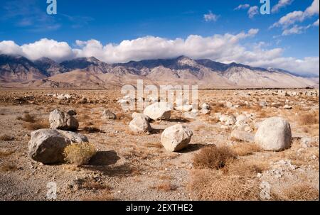 Sagebrush Boulders Owens Valley Sierra Nevada Range Californie Banque D'Images