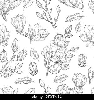 Motif magnolia. Dessinez une fleur ornée d'une texture sans couture. Dessin à imprimé fleuri vintage avec éléments botaniques. Arrière-plan vectoriel de plantes. Illustration du motif de décoration de printemps floral Magnolia Illustration de Vecteur