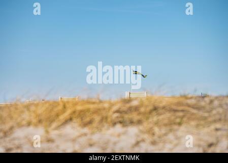 Drapeau suédois flottant sur un poteau, capturé à travers les dunes de sable d'une plage. Le bandérole suédois scandinave agite sur Ribersborgs Kallbadhus. Malmö Banque D'Images