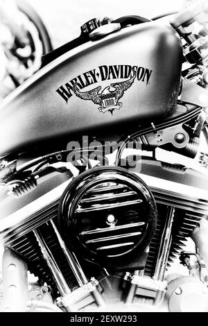 Harley Davidson Iron 883 moto. Noir et blanc Banque D'Images