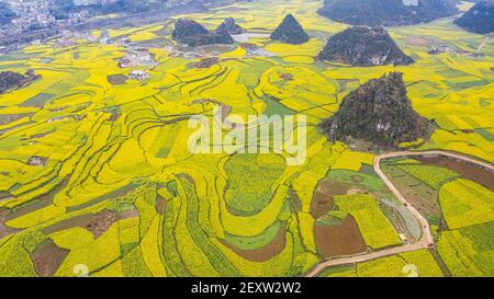 Liuzhi, Chine. 5 mars 2021. La photo aérienne prise le 5 mars 2021 montre les champs de fleurs de cole dans la ville de Liupanshui, dans la province de Guizhou, au sud-ouest de la Chine. Vendredi marque le jour de 'Jingzhe' ou 'Awakening of insectes,' le troisième des 24 termes solaires. On pense que c'est le moment de l'agriculture de printemps. Credit: Tao Liang/Xinhua/Alamy Live News Banque D'Images