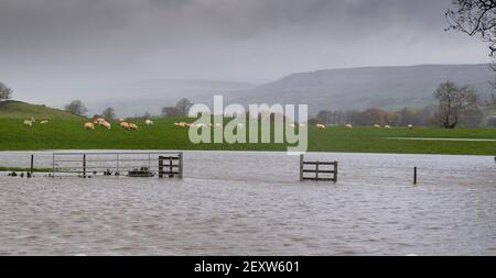 Dégâts causés par la tempête autour de la ville de Wensleydale de Hawes dans le North Yorkshire après Storm Aiden. Banque D'Images