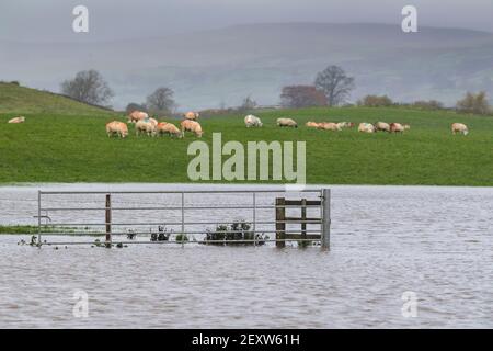 Dégâts causés par la tempête autour de la ville de Wensleydale de Hawes dans le North Yorkshire après Storm Aiden. Banque D'Images