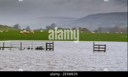 Dégâts causés par la tempête autour de la ville de Wensleydale de Hawes dans le North Yorkshire après Storm Aiden. Banque D'Images